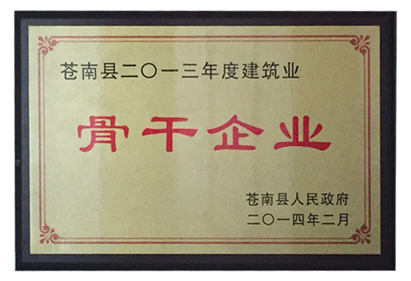 2013年度骨干企业